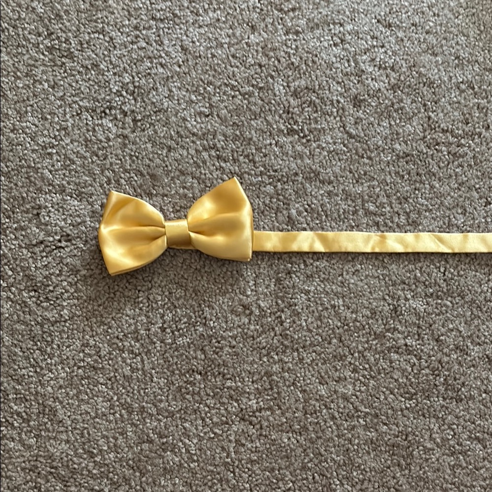 Elegant Gold Bow Tie